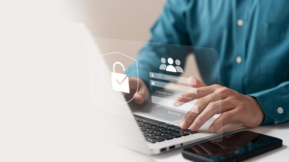 informaticiens professionnels